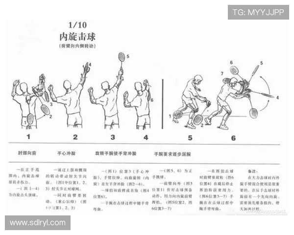杭州羽毛球队运营模式解析及其在羽毛球热点中的影响力探讨